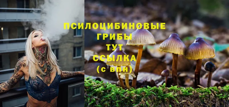 Псилоцибиновые грибы MAGIC MUSHROOMS  Курганинск 