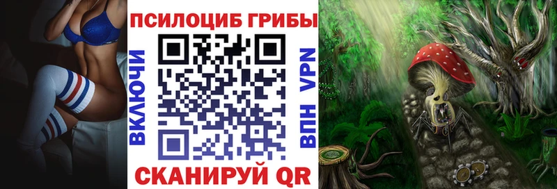 Галлюциногенные грибы Magic Shrooms  купить  сайты  Курганинск 
