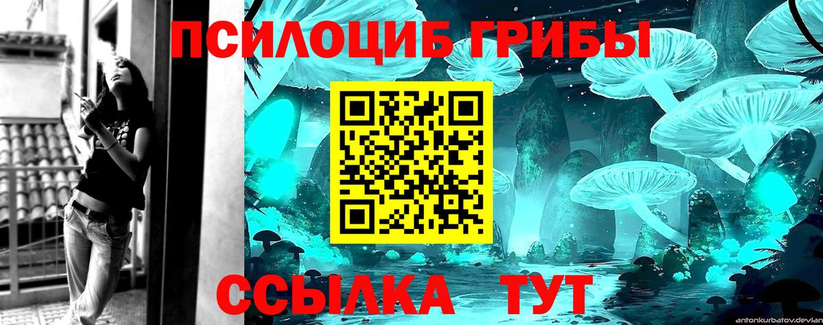 Галлюциногенные грибы Psilocybe Курганинск