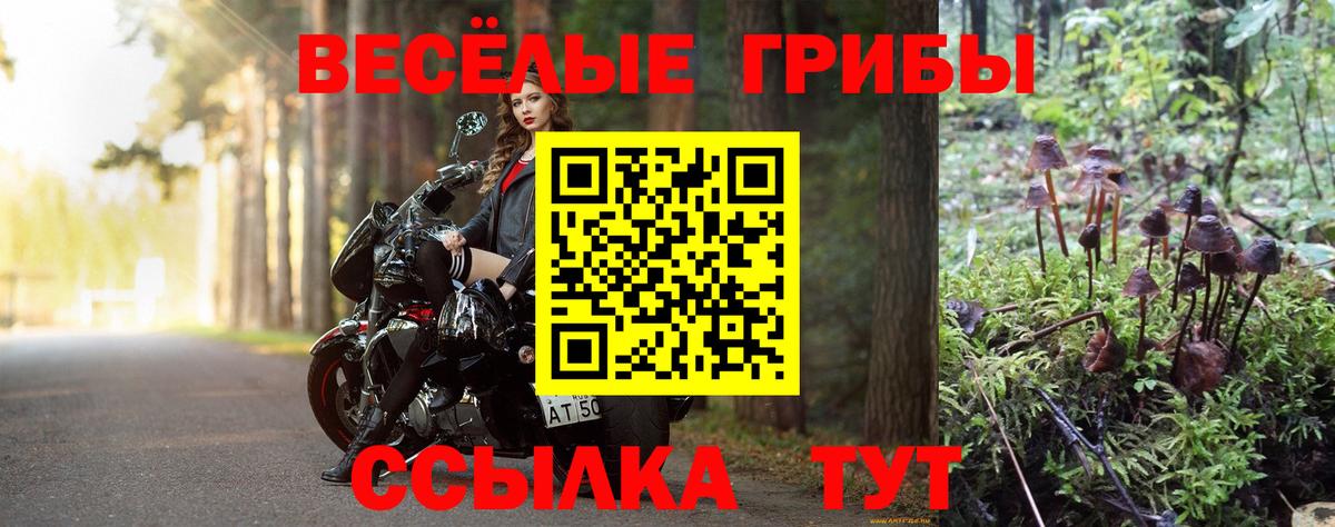 закладки  Псилоцибиновые грибы прущие грибы  Вход с VPN  Курганинск 