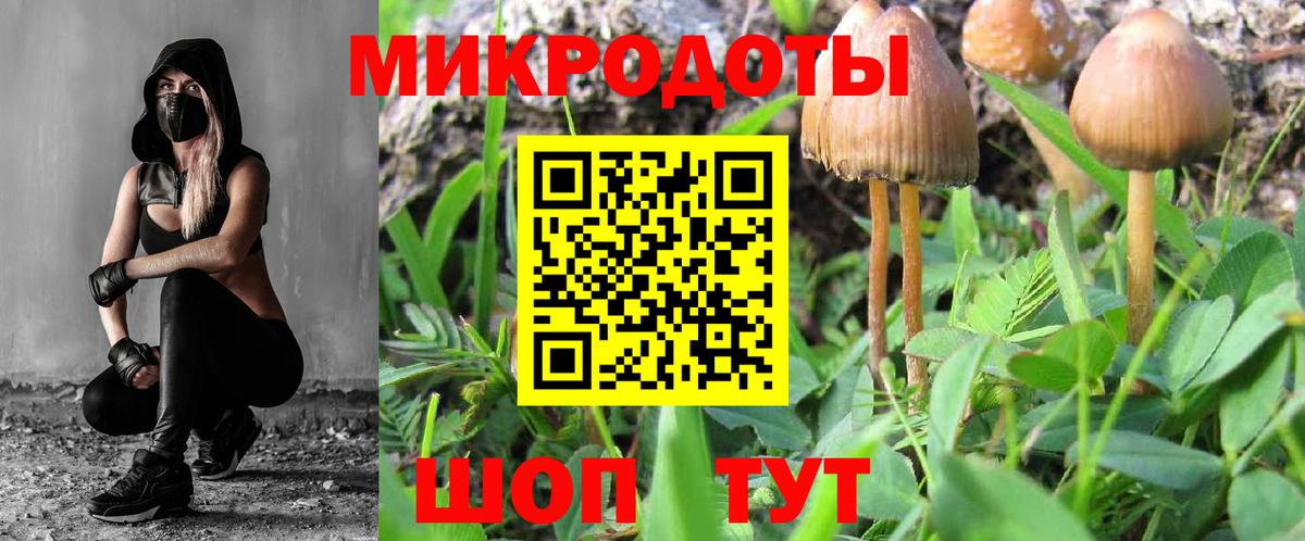 Псилоцибиновые грибы MAGIC MUSHROOMS  Курганинск  Псилоцибиновые грибы Psilocybine cubensis 