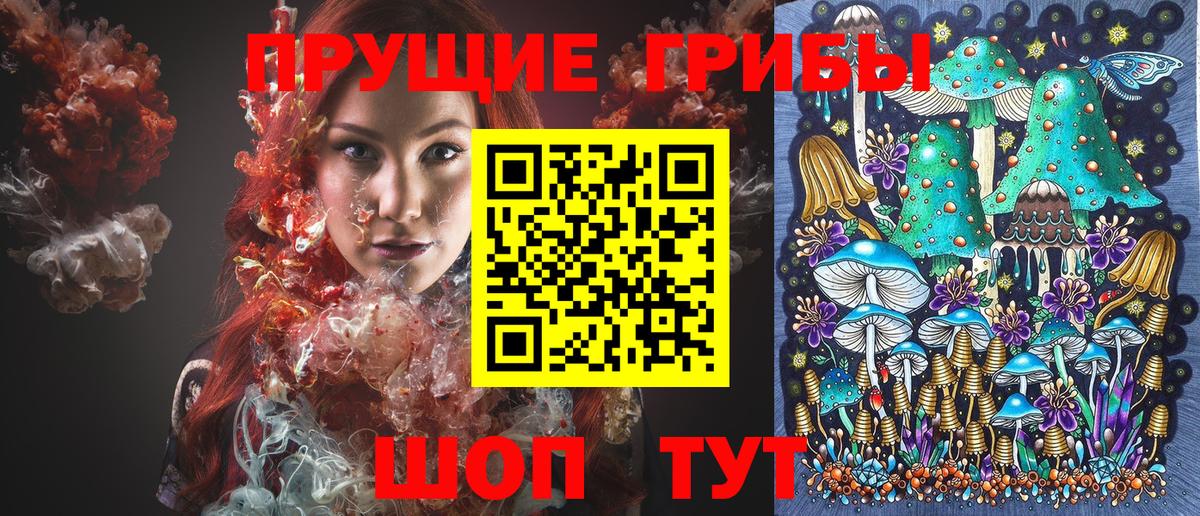 Галлюциногенные грибы Psilocybine cubensis Курганинск