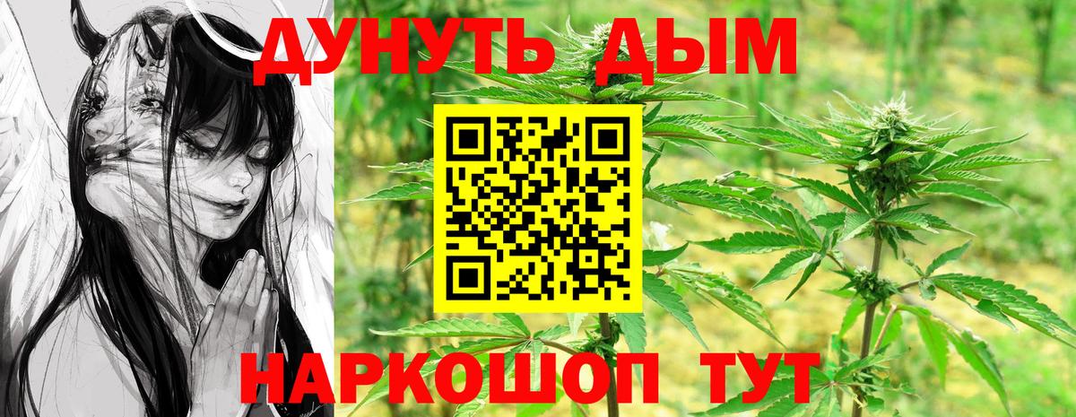 Конопля конопля Курганинск